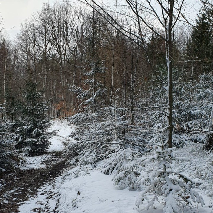 Achtsam in der Natur